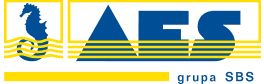 SAS logo